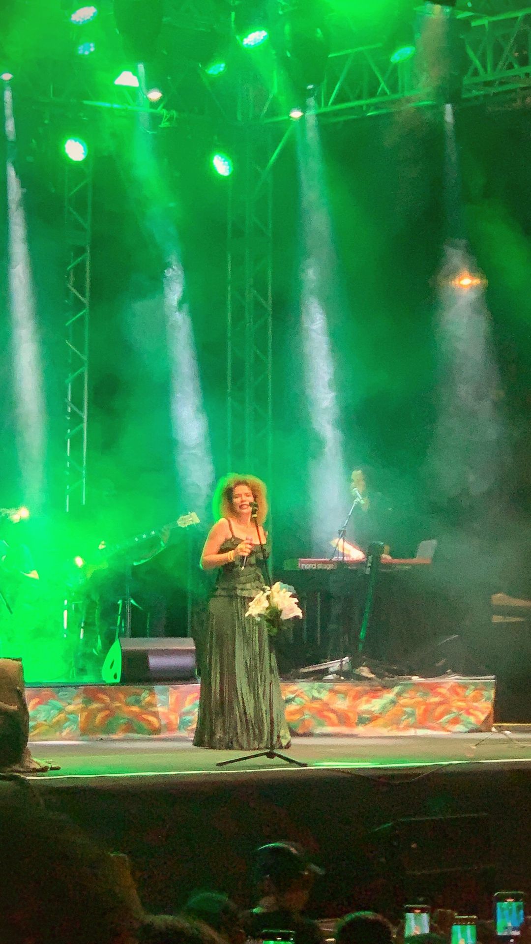 Cantora brasileira Vanessa da Mata se apresentando ao vivo no palco